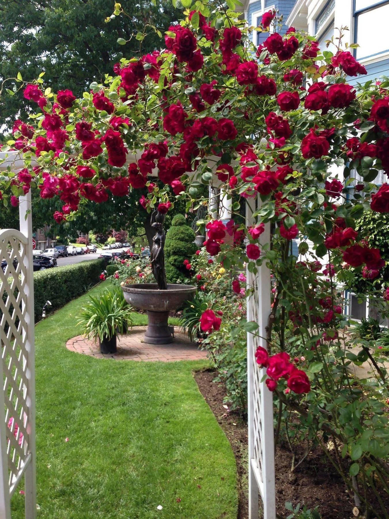 Lion And The Rose Victorian Guest House Portland Kültér fotó