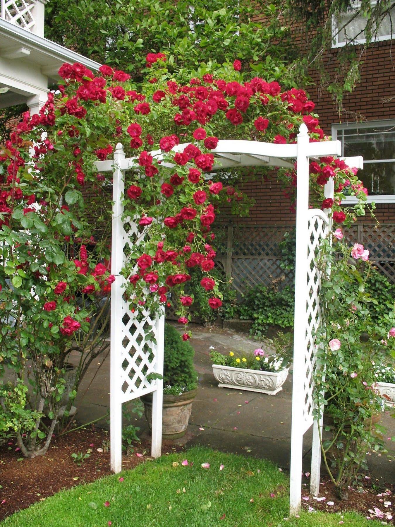 Lion And The Rose Victorian Guest House Portland Kültér fotó
