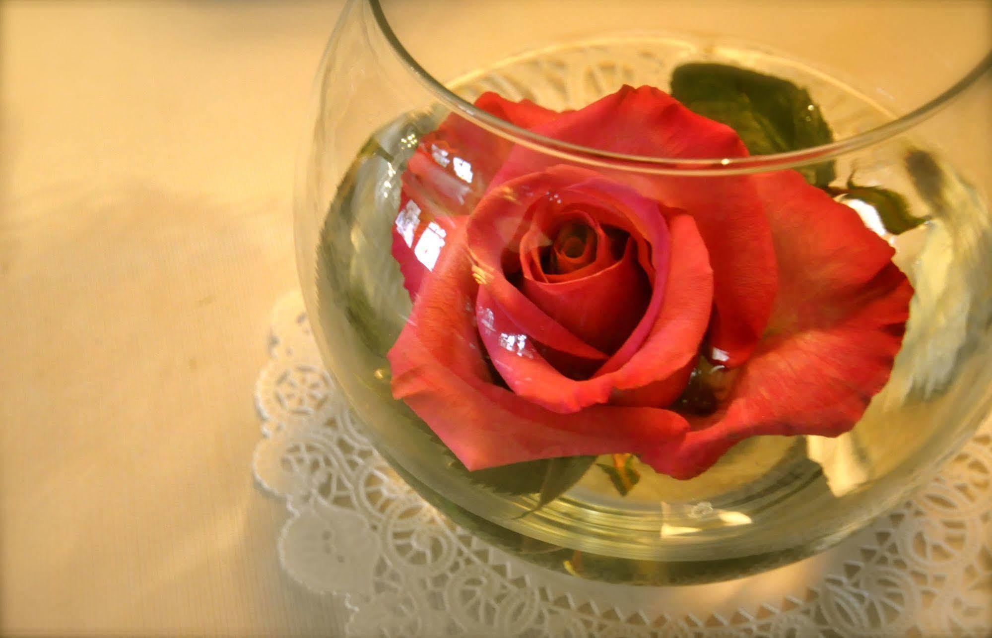 Lion And The Rose Victorian Guest House Portland Kültér fotó